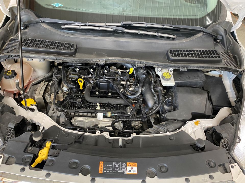 2019 Ford Escape SE Sport Utility 4D ⭐SOLD⭐